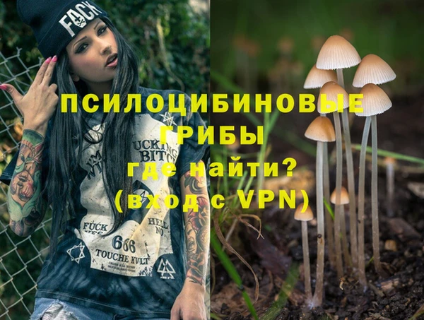 spice Алексин
