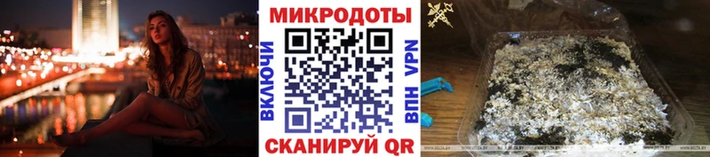 купить наркотики сайты  Ахтубинск  Псилоцибиновые грибы MAGIC MUSHROOMS 