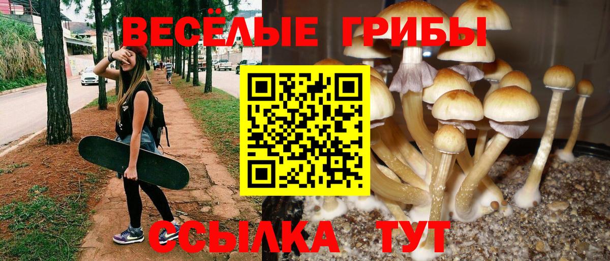 Ахтубинск  Псилоцибиновые грибы мухоморы  Вход с VPN 