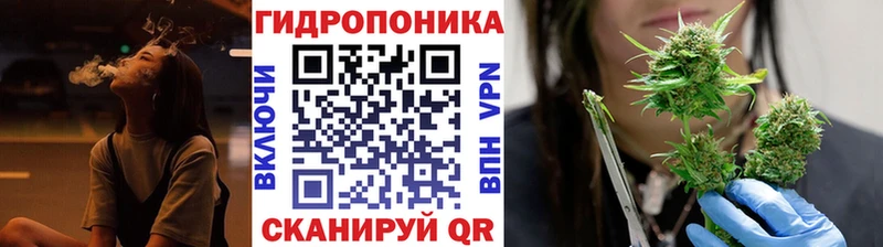 Шишки марихуана конопля Ахтубинск