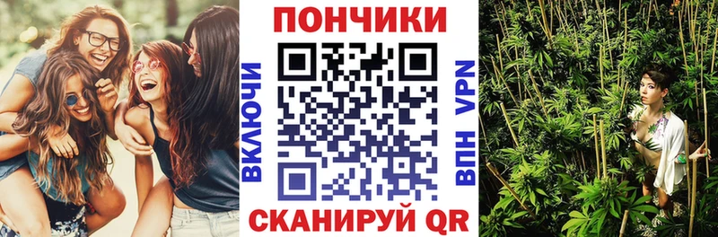 Бошки марихуана Amnesia  Ахтубинск 